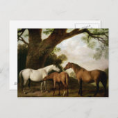 George Stubbs | Two Shafto Mares and a Foal, 1774 Briefkaart (Voorkant / Achterkant)
