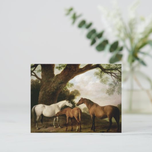 George Stubbs | Two Shafto Mares and a Foal, 1774 Briefkaart (Staand voorkant)