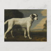 George Stubbs - Viscount Gormanston's White Dog Briefkaart (Voorkant)