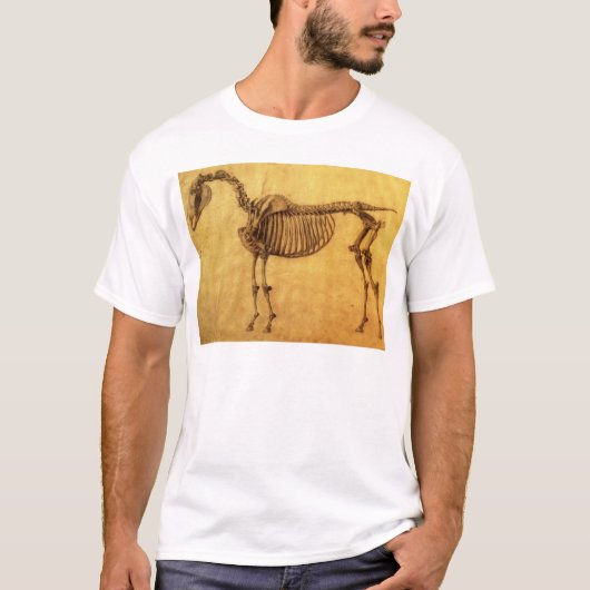 George Stubbs | Voltooide studie voor de eerste sc T-shirt (Voorkant)