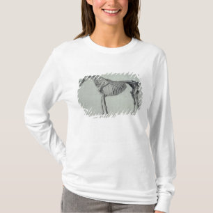 George Stubbs   Voltooide studie voor de vijfde An T-shirt