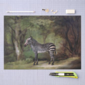 George Stubbs | Zebra (1763) Tissuepapier (Craft)