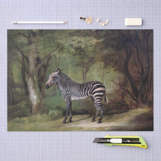 George Stubbs | Zebra (1763) Tissuepapier (Craft)