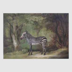 George Stubbs   Zebra (1763) Tissuepapier
