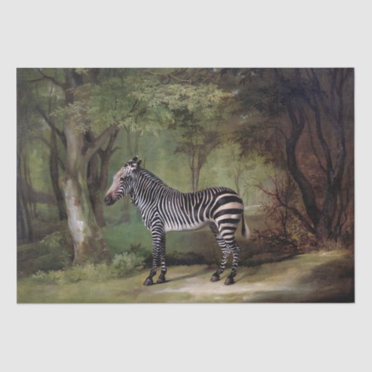 George Stubbs | Zebra (1763) Tissuepapier (Voorkant)