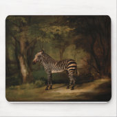 George Stubbs - Zebra Muismat (Voorkant)