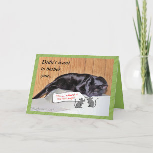 George the Cat-Get Well - elke gelegenheid aanpass Kaart