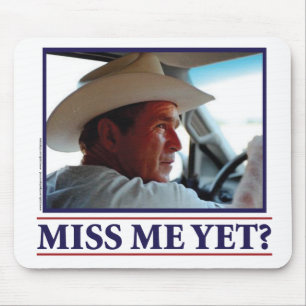 George W Struik Miss me toch? Muismat