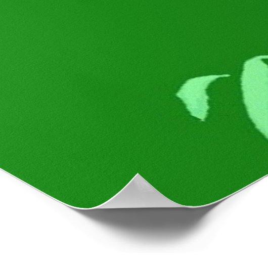 George W. Struik Poster (Hoek)