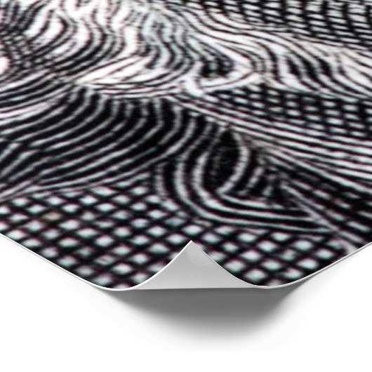 george washington dollarbiljet poster (Hoek)