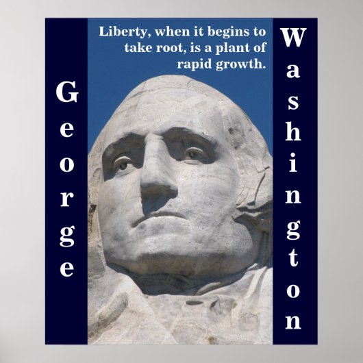 George Washington Liberty Poster (Voorkant)