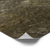 George Washington op Horseback in Trenton Poster (Hoek)