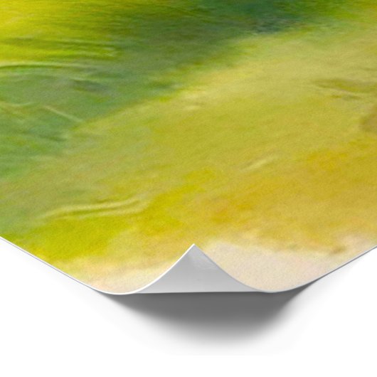 George Washington Poster (Hoek)