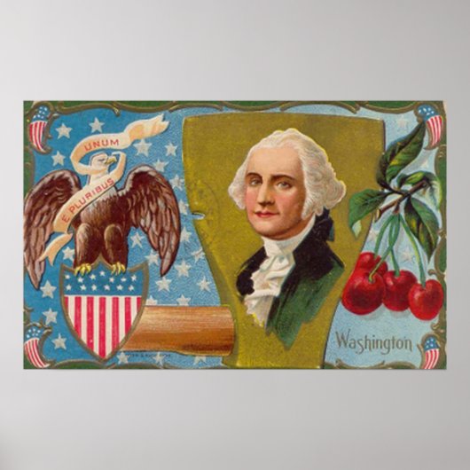George Washington Vintage Poster (Voorkant)