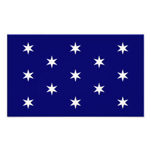 George Washington's commandant in de vlag Foto Afdruk