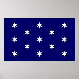 George Washington's commandant in de vlag Poster