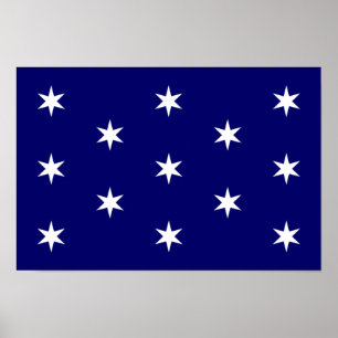 George Washington's persoonlijke vlag Poster