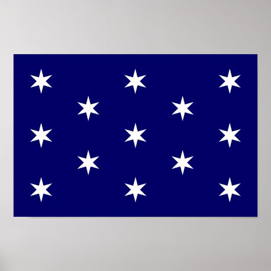 George Washington's persoonlijke vlag Poster (Voorkant)