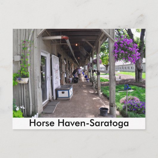 George Weaver Stables in Saratoga Briefkaart (Voorkant)
