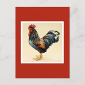 George's Cocreel 2007 Briefkaart (Voorkant)