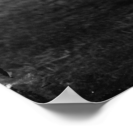 Georges Flechere Poster (Hoek)