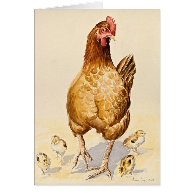George's Hen en haar Chicks 2007 (Voorkant)