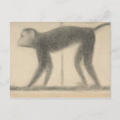 Georges Seurat - Monkey Briefkaart (Voorkant)