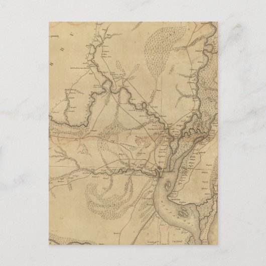 Georgetown District, South Carolina Briefkaart (Voorkant)