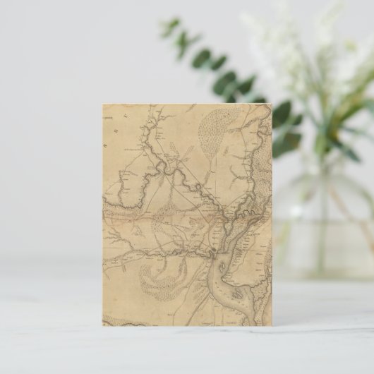 Georgetown District, South Carolina Briefkaart (Staand voorkant)