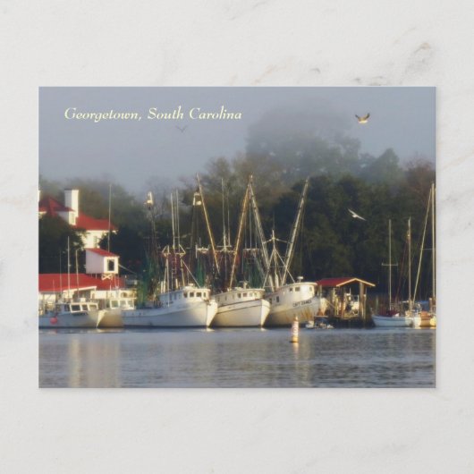 Georgetown Shrimp Boats Souvenir Briefkaart (Voorkant)