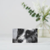 Georgia 5 april 2009 012, naam, adres 1, adres... visitekaartje (Staand voorkant)