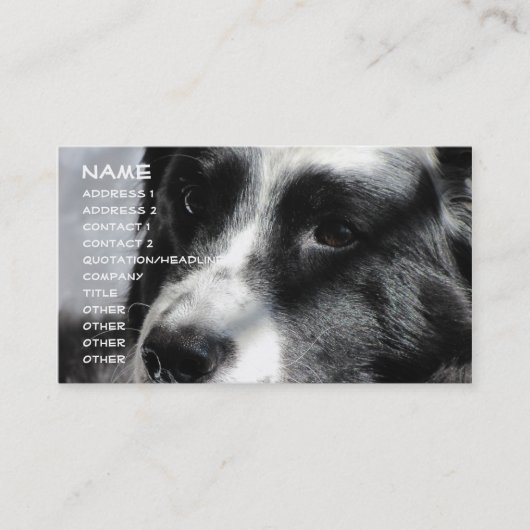 Georgia 5 april 2009 012, naam, adres 1, adres... visitekaartje (Voorkant)