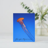 Georgia Aquarium Kwallen Briefkaart (Staand voorkant)