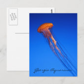 Georgia Aquarium Kwallen Briefkaart (Voorkant / Achterkant)