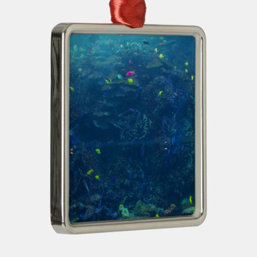 Georgia Aquarium Metalen Ornament (Rechts)