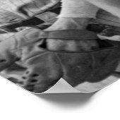 Georgia Baseball Team, jaren dertig Poster (Hoek)