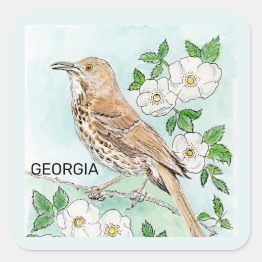 Georgia Bird en Flower Vierkante Sticker (Voorkant)