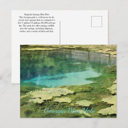 Georgia Blue Hole Briefkaart (Voorkant / Achterkant)