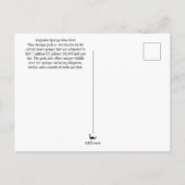 Georgia Blue Hole Briefkaart (Achterkant)