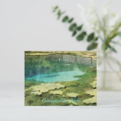 Georgia Blue Hole Briefkaart (Staand voorkant)