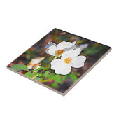 Georgia Cherokee Roos Tegeltje (Zijkant)