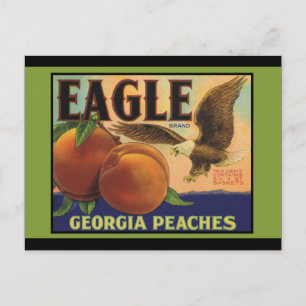 Georgia Eagle Peaches Briefkaart