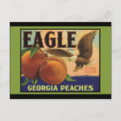Georgia Eagle Peaches Briefkaart (Voorkant)