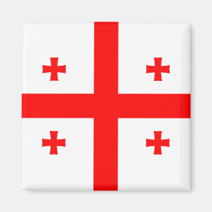Georgia Flag Magneet