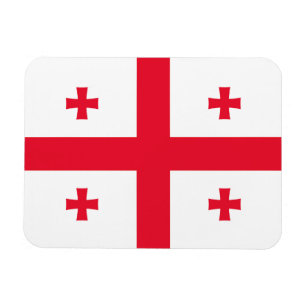 Georgia Flag Magneet