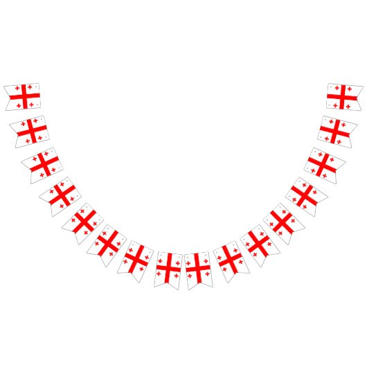 Georgia Flag Vlaggetjes (Alle)