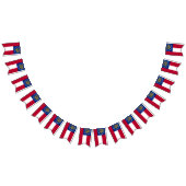 Georgia Flag Vlaggetjes (Alle)