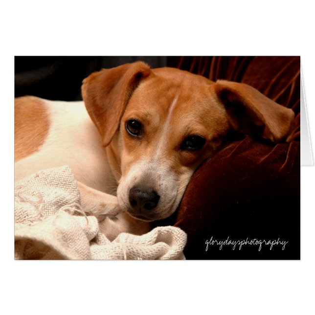 Georgia, glorydayfotografie (Voorkant Horizontaal)