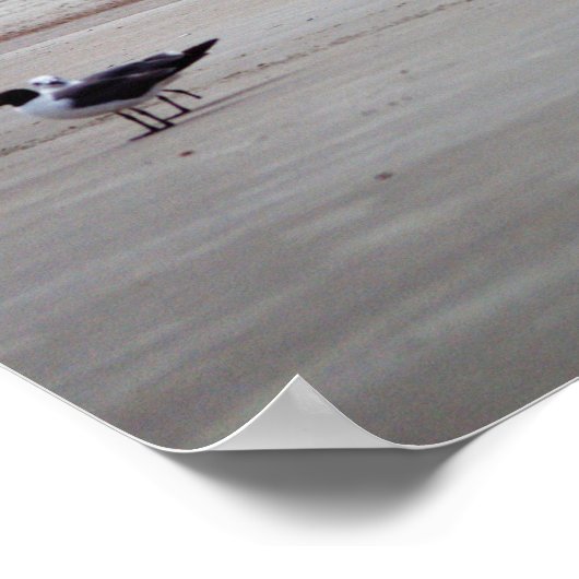 Georgia Lighthouse Poster (Hoek)