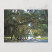 Georgia Moss Briefkaart (Voorkant)